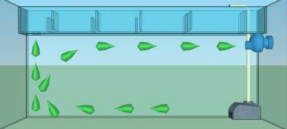 水族造浪泵该如何使用？有什么作用？